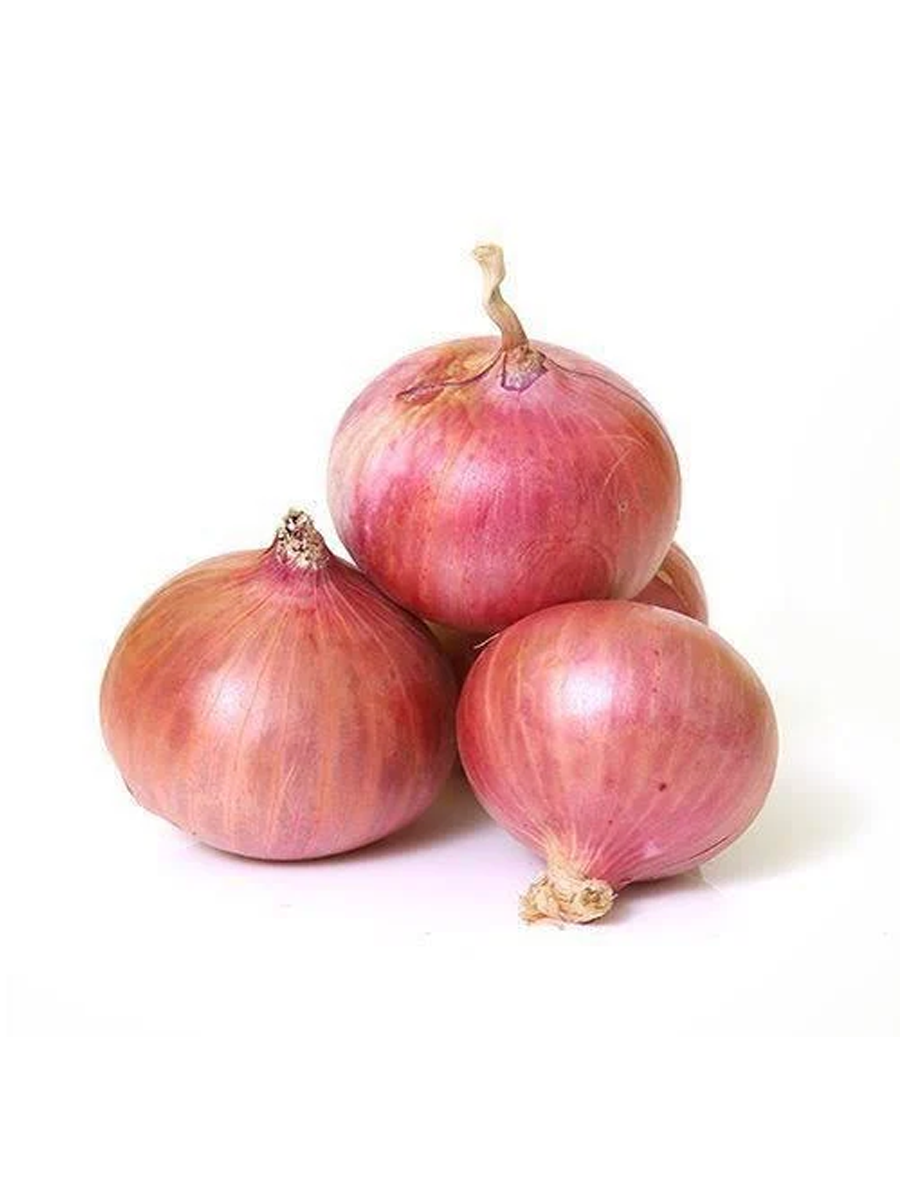 GarvaOnion.png